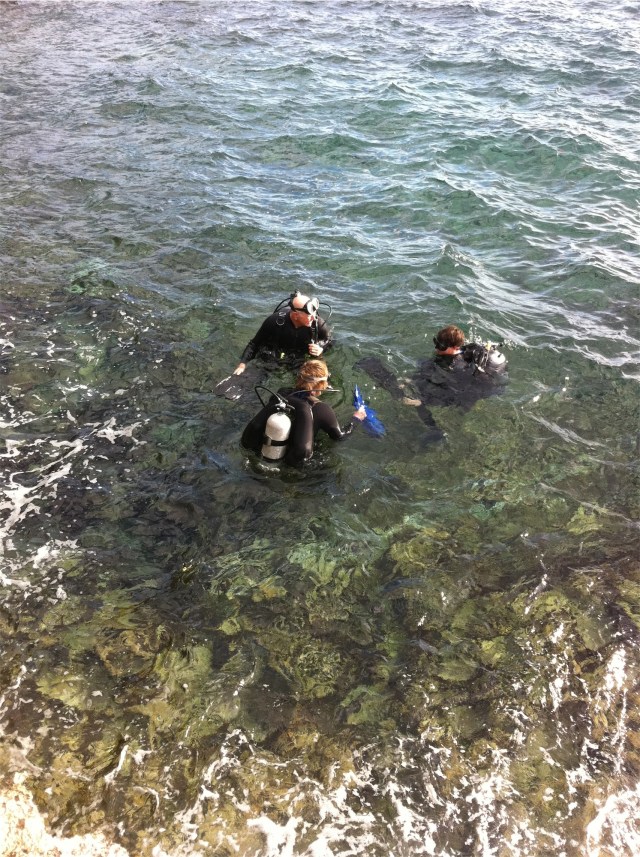 You get in the water