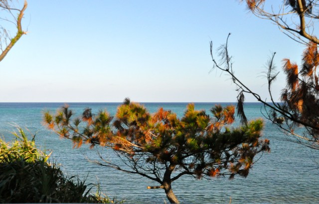 View from deck at 8:00