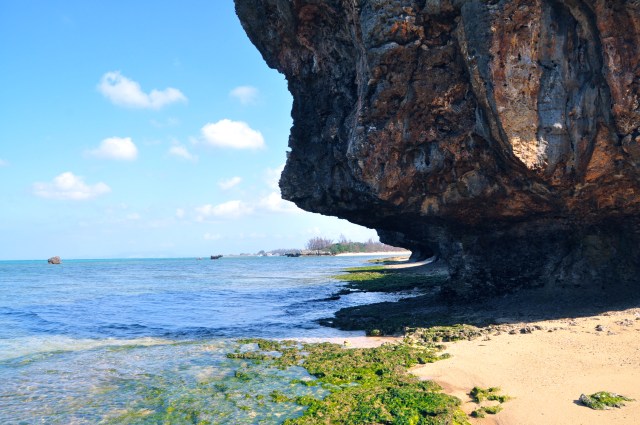 14. I believe in the official documents of the United States of America-the Declaration of Independence and the Constitution with its Bill of Rights and Amendments-that they were Divinely inspired and that they take their places with the Old and New Testaments of the Holy Bible as instruments of the synonymous teachings of Democracy, Brotherhood, Americanism, Christianity and True Judaism.