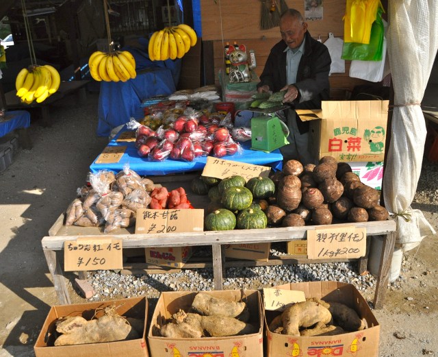 How many of these vegetables do you recognize?