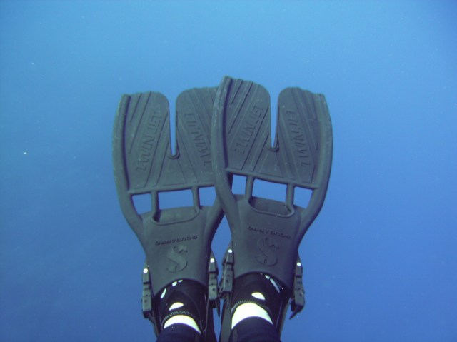 I look at my fins for a while