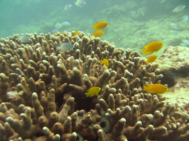 I must try and get into the Christmas spirit.