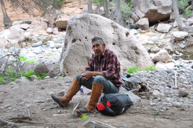 Yay! Manuel. He sure knows mules