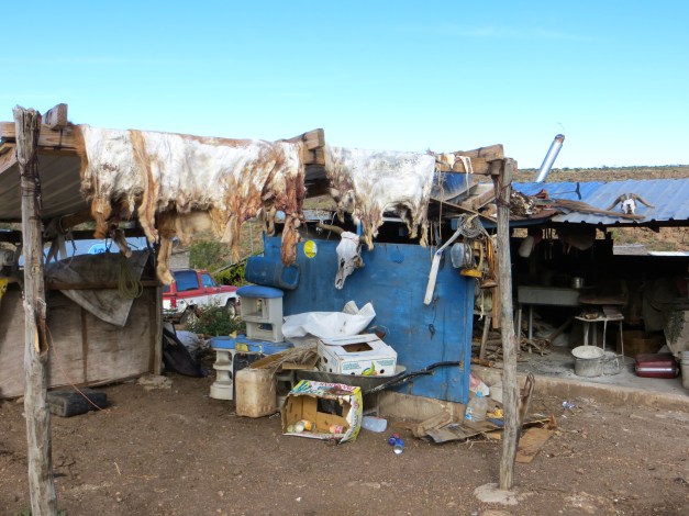 Your to goat to be true Can't take my eyes of  you.