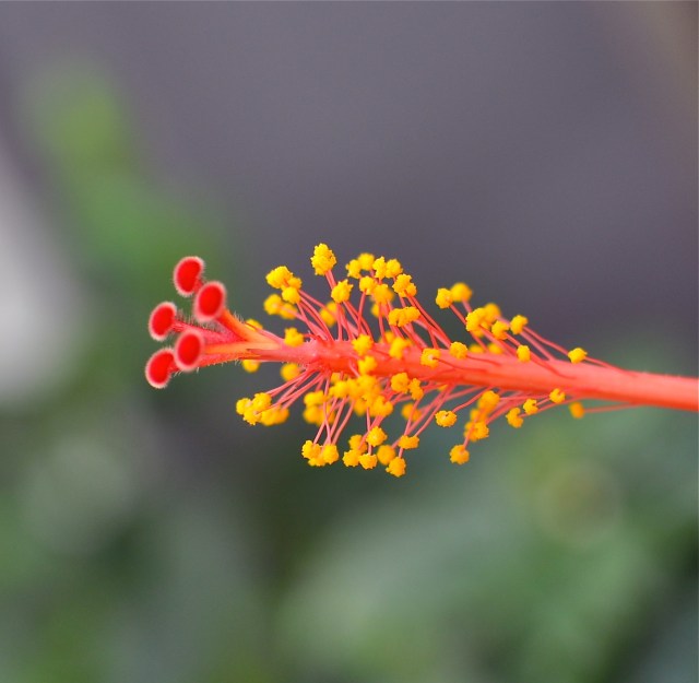 “We all know interspecies romance is weird.” 