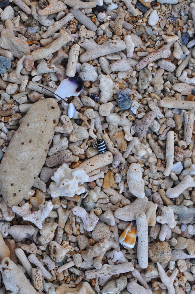 The way to crush the bourgeoisie is to grind them between the millstones of taxation and inflation. 