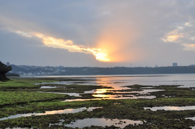 Old English glomung "twilight," formed (probably on model of æfning "evening") from glom "twilight," related to glowan "to glow"