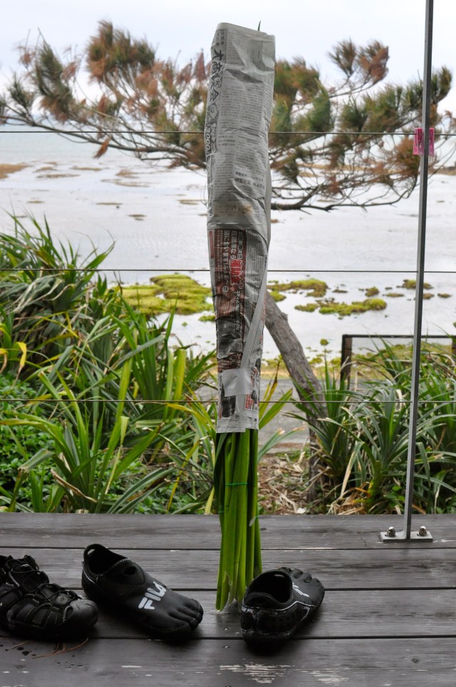 Office decoration. I will probably remove the paper.