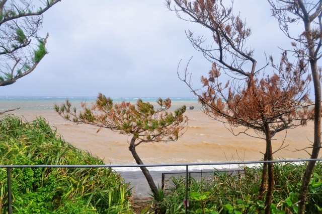 Same view a bit later when the sun came out. Amazing colors