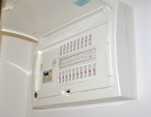 My fuse box. Note that in Japan fuses that are OK are red, ones that are not are green. This has caused me some confusion in the past.