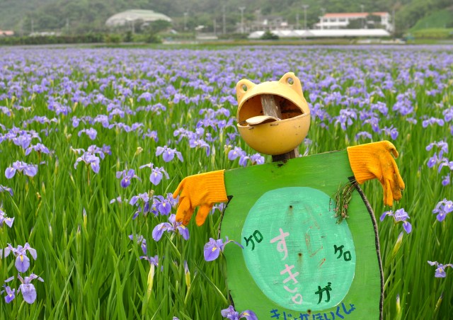 Cool scarecrow made from a buoy.