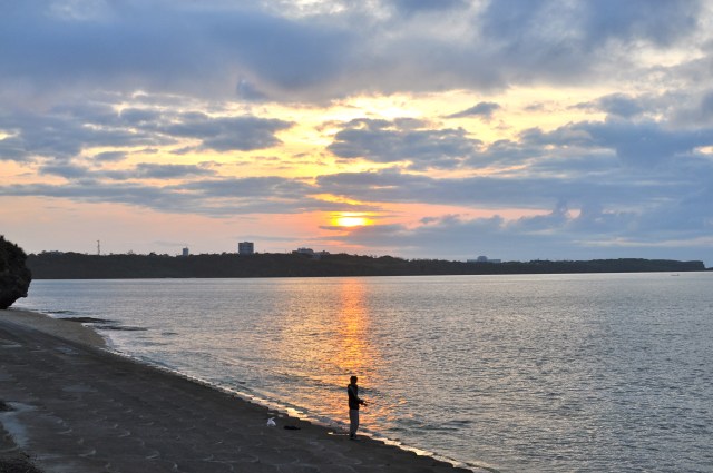 The white plastic bag is full of squid.