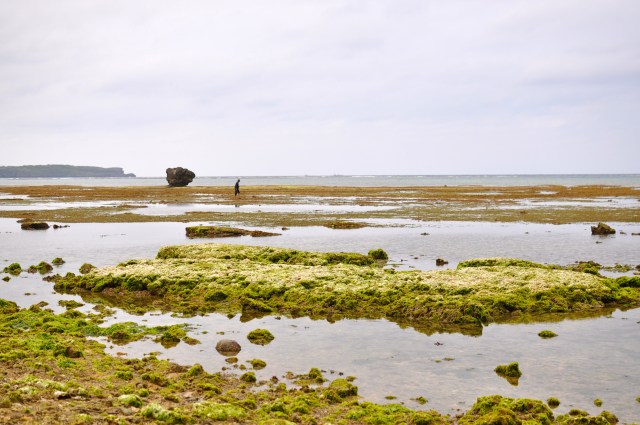 There is a tide in the affairs of men, Which taken at the flood, leads on to fortune. Omitted, all the voyage of their life is bound in shallows and in miseries. On such a full sea are we now afloat. And we must take the current when it serves, or lose our ventures.