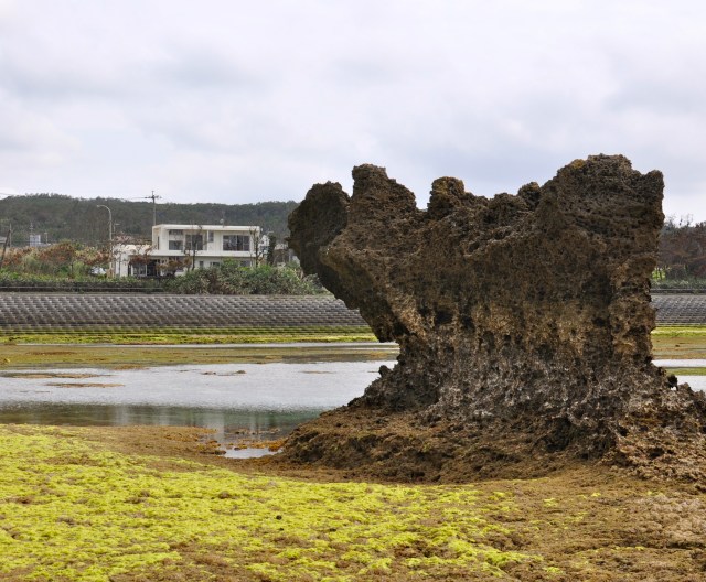 Tigh na Mara from the sea