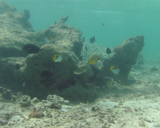 “People would be surprised if they knew how much in this world was due to prayers.” 