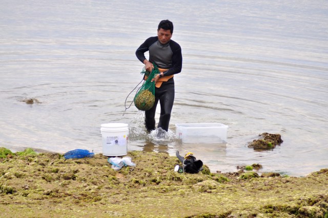 Why have Barcelona lost their magnificence?