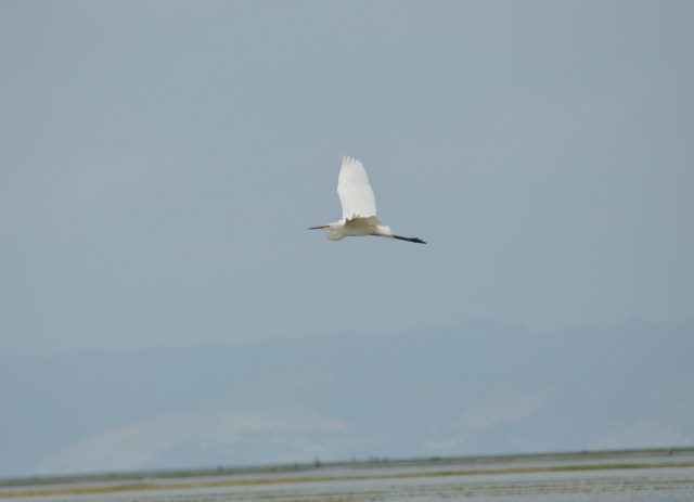 Take your protein pills  and put your helmet on