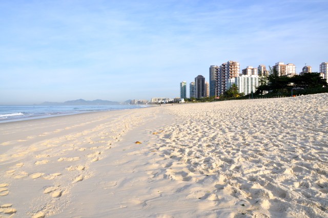 More context - it is now about 7:30. The birds live in the trees.