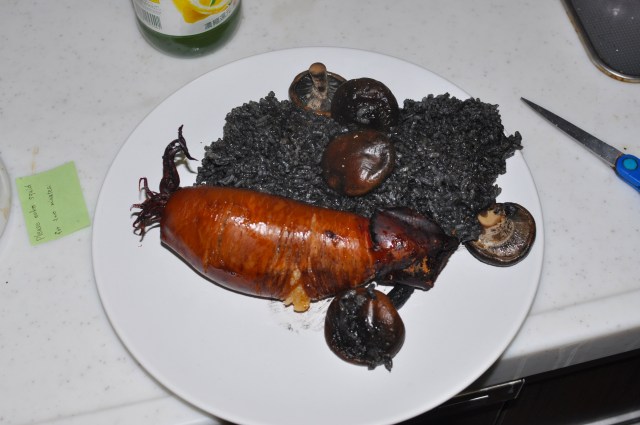 This what a nuked squid looks like