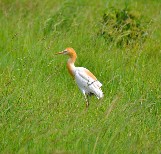 Dinner at 7:00. You host.
