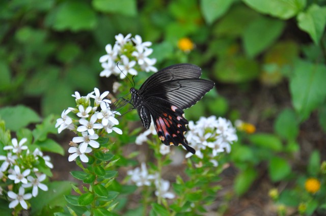 Comments by close of business Wednesday please