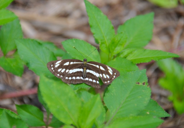 Flight AF 256 to Rio is now boarding