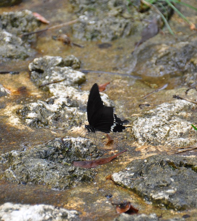 Neil, I have not heard back from you. 