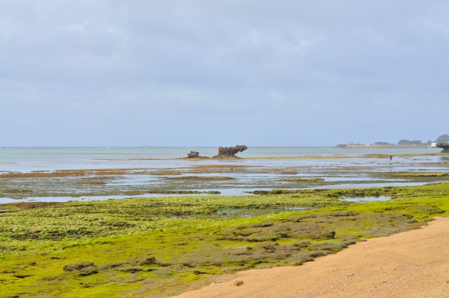 Can we expect your text soon?