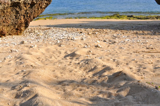 Much kerfuffle at the sea end of the trench.