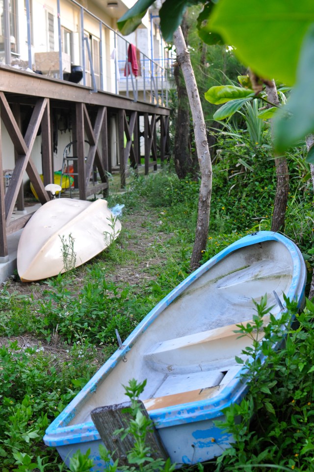 There are now 3 kayaks and one boat in front of my house.