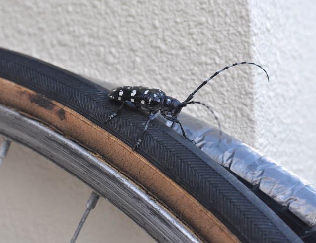 He is telling me something.