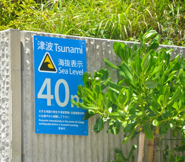 I think blue signifies sky and safety.