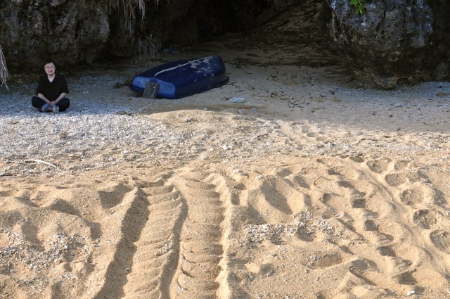 Anytime you see a turtle up on top of a fence post, you know he had some help.