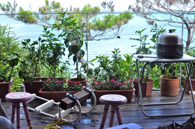 Time to BBQ a big fish on the Cobb