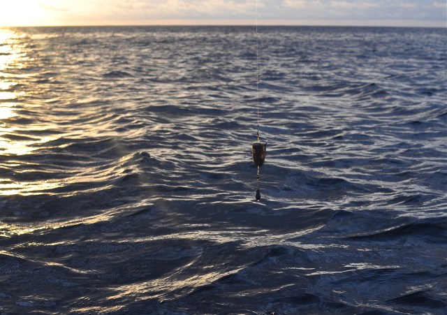 This little basket has about 1 minute to live.