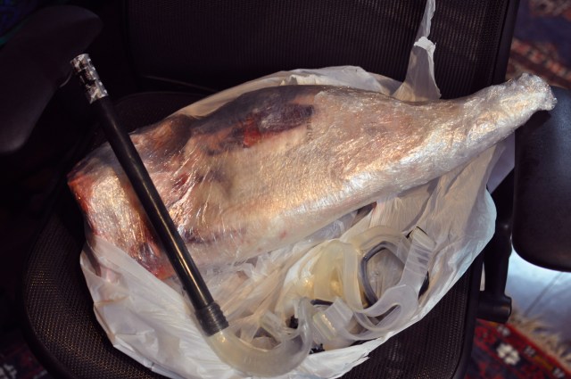 Just in time for tomorrow's party