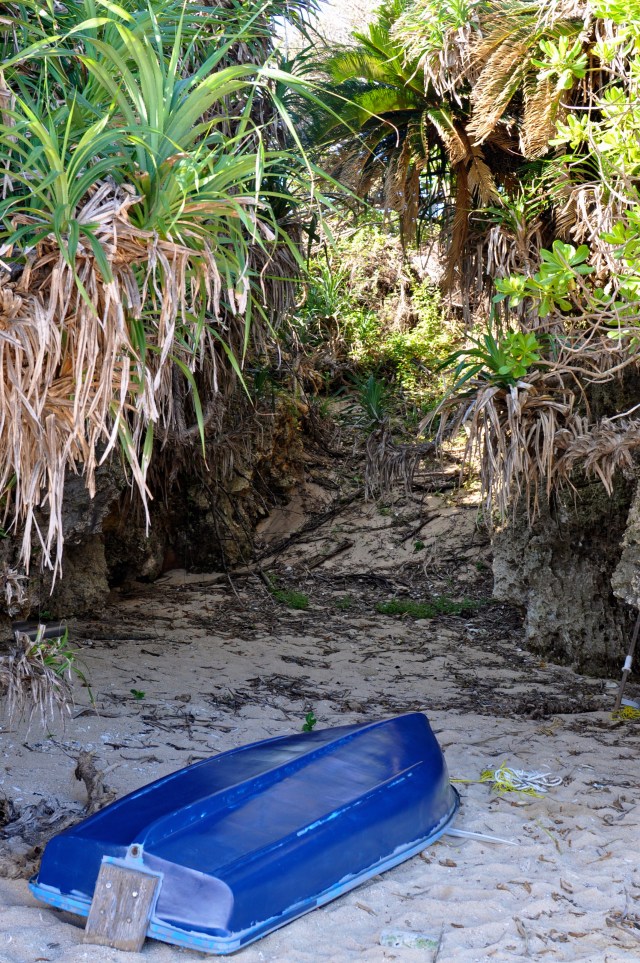 Well played Leigh Halfpenny