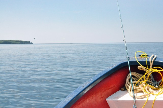 Thank you boat and little Chinese motor