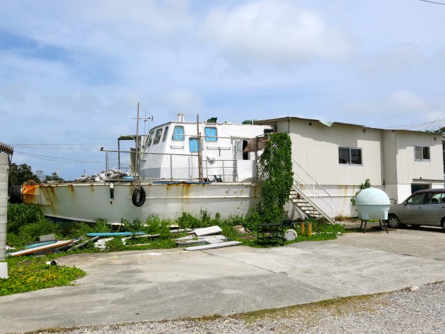 I wonder how many children they have got?