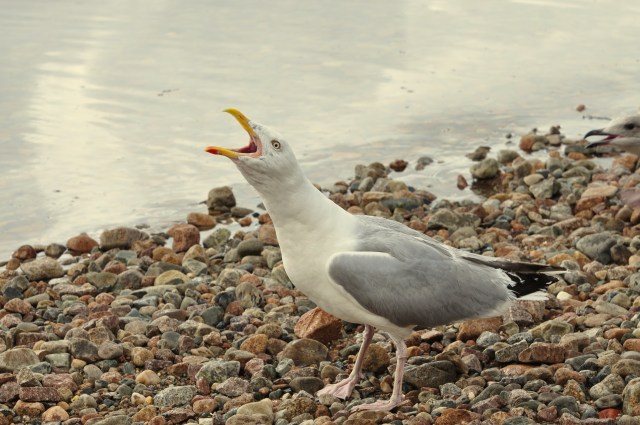 Shorter hours and better pay