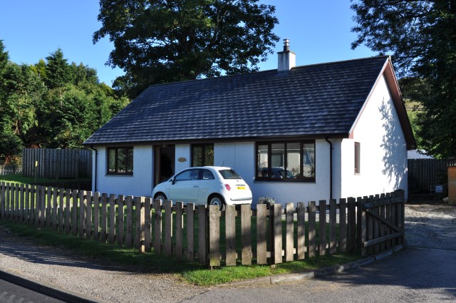The desecrated tree stood just near the gate.