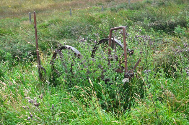 Neolithic wuffler for extracting potatoes