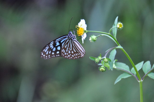 There's nothing in being teetotal And saving a shilling or two If your money you spend you got nothing to lend