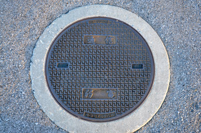 Come on stupid, don't play dumb with me!