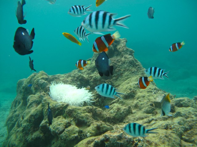 This camera is better.