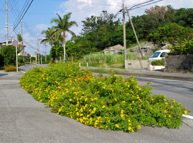 Yellow stuff with tombs