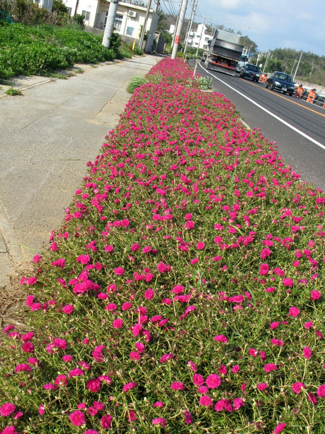 Old man lying by the side of the road With the lorries rolling by. http://www.youtube.com/watch?v=1jzhLtt_pGQ