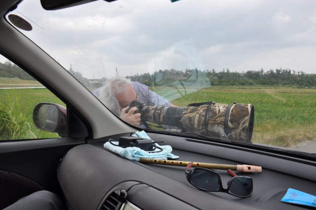 Make my day Egret punk