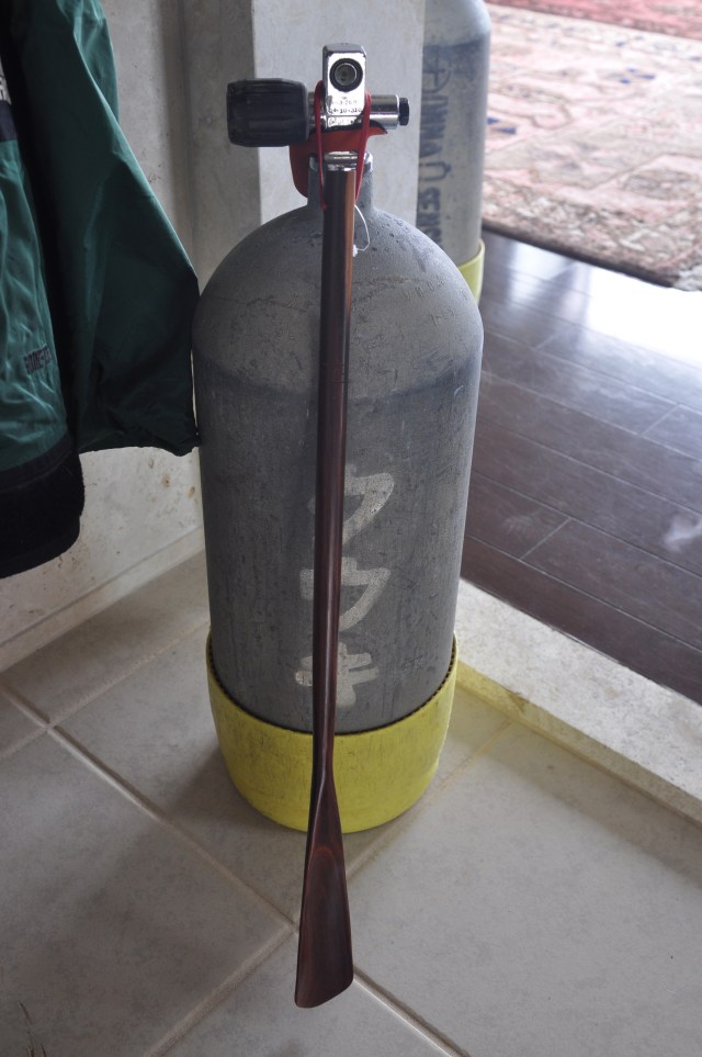 My current shoe horn