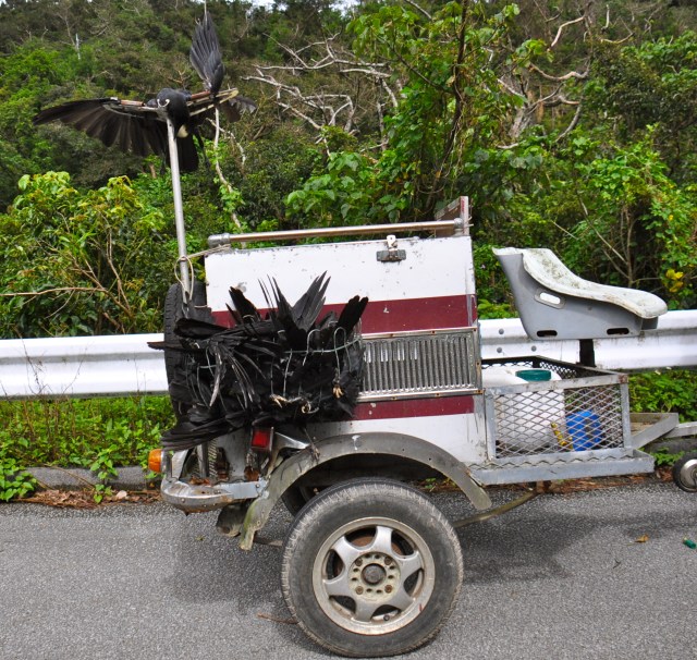 "I never done it ,Gov" "Straight up, I was at home with the wife."